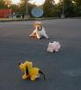 Boone and friends
